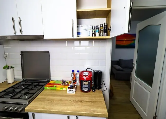 Lejlighed Modern & Comfortable Cismigiu Park - Pop4 Bukarest