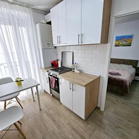 Modern & Comfortable Cismigiu Park - Pop4