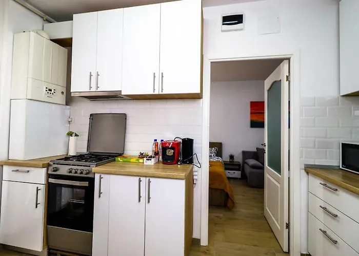 شقة Modern & Comfortable Cismigiu Park - Pop4 بوخارست