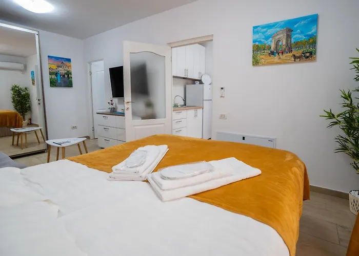 公寓 Modern & Comfortable Cismigiu Park - Pop4 布加勒斯特