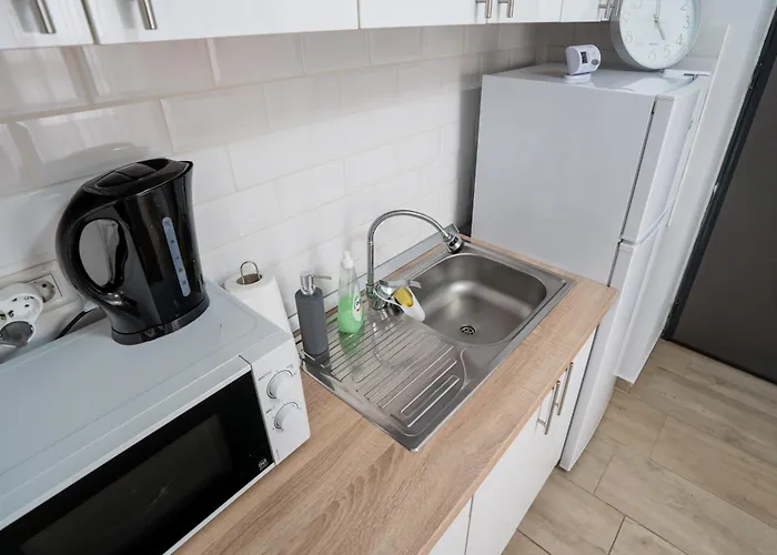 Modern & Comfortable Cismigiu Park - Pop4